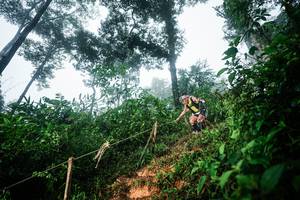 BIB: 
                            <button type="button" onclick="openModal(26202801)" class="btn btn-primary btn-sm float-right btn-popup" data-toggle="modal" data-target=".modal-high-quality">
                        <i class="fas fa-shopping-cart"></i> Add to Cart
                    </button>
                                            <button type="button" onclick="isThisMe(26202801, true)" class="btn btn-success btn-sm float-right btn-popup btn-isme hidden" data-toggle="tooltip" data-placement="bottom" title="นี่คือรูปของคุณใช่ไหม คลิกที่นี่เพื่อเอาเข้าอัลบั้ม">
                        <i class="fas fa-plus"></i> Add to album
                    </button>
                    <button type="button" onclick="isThisMe(26202801, false)" class="btn btn-warning btn-sm float-right btn-popup btn-isnotme hidden">
                        <i class="fas fa-ban"></i> Remove from album
                    </button>